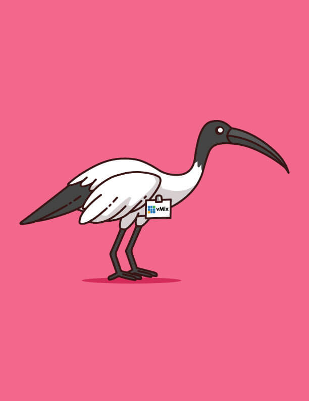 Irene-Ibis